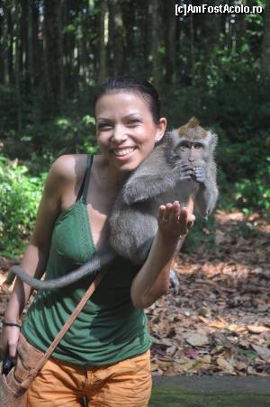 [P13] In Padurea maimutelor, locul unde am ras si ne-am distrat copios!!! Atentie, luati-va haine de schimb la voi!!!  :)))  » foto by Alesia2891
 - 
<span class="allrVoted glyphicon glyphicon-heart hidden" id="av503624"></span>
<a class="m-l-10 hidden" id="sv503624" onclick="voting_Foto_DelVot(,503624,16277)" role="button">șterge vot <span class="glyphicon glyphicon-remove"></span></a>
<a id="v9503624" class=" c-red"  onclick="voting_Foto_SetVot(503624)" role="button"><span class="glyphicon glyphicon-heart-empty"></span> <b>LIKE</b> = Votează poza</a> <img class="hidden"  id="f503624W9" src="/imagini/loader.gif" border="0" /><span class="AjErrMes hidden" id="e503624ErM"></span>