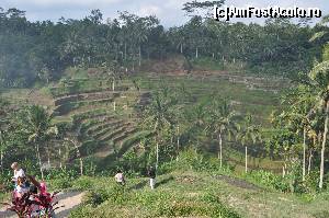 [P14] Plantatiile de orez » foto by Alesia2891
 - 
<span class="allrVoted glyphicon glyphicon-heart hidden" id="av503625"></span>
<a class="m-l-10 hidden" id="sv503625" onclick="voting_Foto_DelVot(,503625,16277)" role="button">șterge vot <span class="glyphicon glyphicon-remove"></span></a>
<a id="v9503625" class=" c-red"  onclick="voting_Foto_SetVot(503625)" role="button"><span class="glyphicon glyphicon-heart-empty"></span> <b>LIKE</b> = Votează poza</a> <img class="hidden"  id="f503625W9" src="/imagini/loader.gif" border="0" /><span class="AjErrMes hidden" id="e503625ErM"></span>