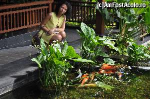 [P07] Un iaz artificial de pesti frumos colorati, superbi!  » foto by Alesia2891
 - 
<span class="allrVoted glyphicon glyphicon-heart hidden" id="av503618"></span>
<a class="m-l-10 hidden" id="sv503618" onclick="voting_Foto_DelVot(,503618,16277)" role="button">șterge vot <span class="glyphicon glyphicon-remove"></span></a>
<a id="v9503618" class=" c-red"  onclick="voting_Foto_SetVot(503618)" role="button"><span class="glyphicon glyphicon-heart-empty"></span> <b>LIKE</b> = Votează poza</a> <img class="hidden"  id="f503618W9" src="/imagini/loader.gif" border="0" /><span class="AjErrMes hidden" id="e503618ErM"></span>