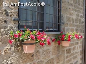 [P07] Civita di Bagnoregio » foto by RoxanaGRS
 - 
<span class="allrVoted glyphicon glyphicon-heart hidden" id="av993348"></span>
<a class="m-l-10 hidden" id="sv993348" onclick="voting_Foto_DelVot(,993348,16281)" role="button">șterge vot <span class="glyphicon glyphicon-remove"></span></a>
<a id="v9993348" class=" c-red"  onclick="voting_Foto_SetVot(993348)" role="button"><span class="glyphicon glyphicon-heart-empty"></span> <b>LIKE</b> = Votează poza</a> <img class="hidden"  id="f993348W9" src="/imagini/loader.gif" border="0" /><span class="AjErrMes hidden" id="e993348ErM"></span>