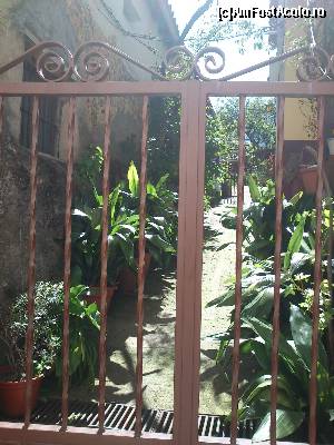 [P33] Curtea unei case. Mama nu se mai dezlipea de acolo, din cauza florilor;).  » foto by alinaro
 - 
<span class="allrVoted glyphicon glyphicon-heart hidden" id="av505945"></span>
<a class="m-l-10 hidden" id="sv505945" onclick="voting_Foto_DelVot(,505945,16294)" role="button">șterge vot <span class="glyphicon glyphicon-remove"></span></a>
<a id="v9505945" class=" c-red"  onclick="voting_Foto_SetVot(505945)" role="button"><span class="glyphicon glyphicon-heart-empty"></span> <b>LIKE</b> = Votează poza</a> <img class="hidden"  id="f505945W9" src="/imagini/loader.gif" border="0" /><span class="AjErrMes hidden" id="e505945ErM"></span>