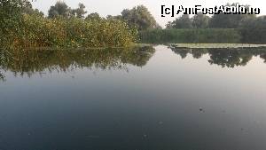 [P01] canalul sontea, calea spre lacul FORTUNA » foto by FaneBabanu
 - 
<span class="allrVoted glyphicon glyphicon-heart hidden" id="av543313"></span>
<a class="m-l-10 hidden" id="sv543313" onclick="voting_Foto_DelVot(,543313,16334)" role="button">șterge vot <span class="glyphicon glyphicon-remove"></span></a>
<a id="v9543313" class=" c-red"  onclick="voting_Foto_SetVot(543313)" role="button"><span class="glyphicon glyphicon-heart-empty"></span> <b>LIKE</b> = Votează poza</a> <img class="hidden"  id="f543313W9" src="/imagini/loader.gif" border="0" /><span class="AjErrMes hidden" id="e543313ErM"></span>