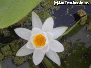[P03] Una din minunatiile Deltei...  » foto by ioppo
 - 
<span class="allrVoted glyphicon glyphicon-heart hidden" id="av699292"></span>
<a class="m-l-10 hidden" id="sv699292" onclick="voting_Foto_DelVot(,699292,16334)" role="button">șterge vot <span class="glyphicon glyphicon-remove"></span></a>
<a id="v9699292" class=" c-red"  onclick="voting_Foto_SetVot(699292)" role="button"><span class="glyphicon glyphicon-heart-empty"></span> <b>LIKE</b> = Votează poza</a> <img class="hidden"  id="f699292W9" src="/imagini/loader.gif" border="0" /><span class="AjErrMes hidden" id="e699292ErM"></span>
