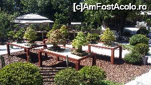 [P19] Imagine din Muzeul Bonsai. Seeboden, Carinthia, Austria.  » foto by traian.leuca †
 - 
<span class="allrVoted glyphicon glyphicon-heart hidden" id="av702664"></span>
<a class="m-l-10 hidden" id="sv702664" onclick="voting_Foto_DelVot(,702664,16402)" role="button">șterge vot <span class="glyphicon glyphicon-remove"></span></a>
<a id="v9702664" class=" c-red"  onclick="voting_Foto_SetVot(702664)" role="button"><span class="glyphicon glyphicon-heart-empty"></span> <b>LIKE</b> = Votează poza</a> <img class="hidden"  id="f702664W9" src="/imagini/loader.gif" border="0" /><span class="AjErrMes hidden" id="e702664ErM"></span>