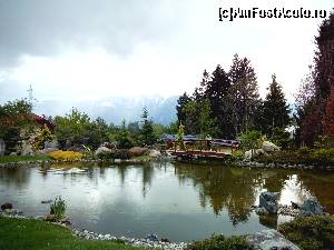 [P10] Vedere din Muzeul Bonzai » foto by claudiu 71
 - 
<span class="allrVoted glyphicon glyphicon-heart hidden" id="av510180"></span>
<a class="m-l-10 hidden" id="sv510180" onclick="voting_Foto_DelVot(,510180,16402)" role="button">șterge vot <span class="glyphicon glyphicon-remove"></span></a>
<a id="v9510180" class=" c-red"  onclick="voting_Foto_SetVot(510180)" role="button"><span class="glyphicon glyphicon-heart-empty"></span> <b>LIKE</b> = Votează poza</a> <img class="hidden"  id="f510180W9" src="/imagini/loader.gif" border="0" /><span class="AjErrMes hidden" id="e510180ErM"></span>