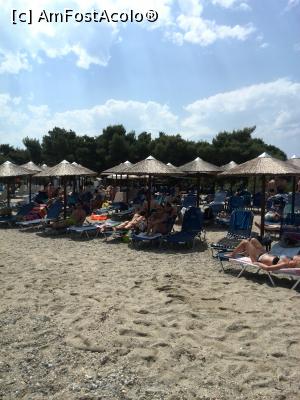 [P20] plaja hotelului » foto by AURICULUM
 - 
<span class="allrVoted glyphicon glyphicon-heart hidden" id="av955326"></span>
<a class="m-l-10 hidden" id="sv955326" onclick="voting_Foto_DelVot(,955326,16445)" role="button">șterge vot <span class="glyphicon glyphicon-remove"></span></a>
<a id="v9955326" class=" c-red"  onclick="voting_Foto_SetVot(955326)" role="button"><span class="glyphicon glyphicon-heart-empty"></span> <b>LIKE</b> = Votează poza</a> <img class="hidden"  id="f955326W9" src="/imagini/loader.gif" border="0" /><span class="AjErrMes hidden" id="e955326ErM"></span>