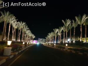 [P47] Rixos Sharm - O alegere excelentă - aleea de la poartă spre Rixos Lounge » foto by nicole33
 - 
<span class="allrVoted glyphicon glyphicon-heart hidden" id="av1235474"></span>
<a class="m-l-10 hidden" id="sv1235474" onclick="voting_Foto_DelVot(,1235474,16490)" role="button">șterge vot <span class="glyphicon glyphicon-remove"></span></a>
<a id="v91235474" class=" c-red"  onclick="voting_Foto_SetVot(1235474)" role="button"><span class="glyphicon glyphicon-heart-empty"></span> <b>LIKE</b> = Votează poza</a> <img class="hidden"  id="f1235474W9" src="/imagini/loader.gif" border="0" /><span class="AjErrMes hidden" id="e1235474ErM"></span>