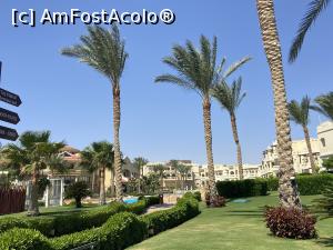 [P81] Rixos Sharm - O alegere excelentă -prin resort » foto by nicole33
 - 
<span class="allrVoted glyphicon glyphicon-heart hidden" id="av1235508"></span>
<a class="m-l-10 hidden" id="sv1235508" onclick="voting_Foto_DelVot(,1235508,16490)" role="button">șterge vot <span class="glyphicon glyphicon-remove"></span></a>
<a id="v91235508" class=" c-red"  onclick="voting_Foto_SetVot(1235508)" role="button"><span class="glyphicon glyphicon-heart-empty"></span> <b>LIKE</b> = Votează poza</a> <img class="hidden"  id="f1235508W9" src="/imagini/loader.gif" border="0" /><span class="AjErrMes hidden" id="e1235508ErM"></span>