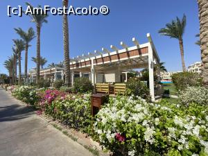 [P82] Rixos Sharm - O alegere excelentă -restaurantul Salt (seafood) » foto by nicole33
 - 
<span class="allrVoted glyphicon glyphicon-heart hidden" id="av1235509"></span>
<a class="m-l-10 hidden" id="sv1235509" onclick="voting_Foto_DelVot(,1235509,16490)" role="button">șterge vot <span class="glyphicon glyphicon-remove"></span></a>
<a id="v91235509" class=" c-red"  onclick="voting_Foto_SetVot(1235509)" role="button"><span class="glyphicon glyphicon-heart-empty"></span> <b>LIKE</b> = Votează poza</a> <img class="hidden"  id="f1235509W9" src="/imagini/loader.gif" border="0" /><span class="AjErrMes hidden" id="e1235509ErM"></span>