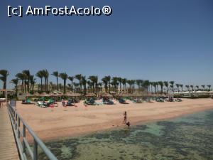 [P98] Rixos Sharm - O alegere excelentă - plaja şi marea la reflux » foto by nicole33
 - 
<span class="allrVoted glyphicon glyphicon-heart hidden" id="av1235525"></span>
<a class="m-l-10 hidden" id="sv1235525" onclick="voting_Foto_DelVot(,1235525,16490)" role="button">șterge vot <span class="glyphicon glyphicon-remove"></span></a>
<a id="v91235525" class=" c-red"  onclick="voting_Foto_SetVot(1235525)" role="button"><span class="glyphicon glyphicon-heart-empty"></span> <b>LIKE</b> = Votează poza</a> <img class="hidden"  id="f1235525W9" src="/imagini/loader.gif" border="0" /><span class="AjErrMes hidden" id="e1235525ErM"></span>