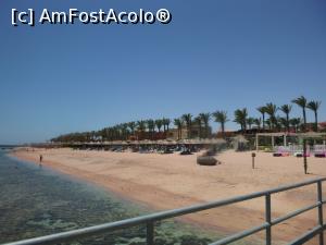 [P99] Rixos Sharm - O alegere excelentă - plaja şi marea la reflux » foto by nicole33
 - 
<span class="allrVoted glyphicon glyphicon-heart hidden" id="av1235526"></span>
<a class="m-l-10 hidden" id="sv1235526" onclick="voting_Foto_DelVot(,1235526,16490)" role="button">șterge vot <span class="glyphicon glyphicon-remove"></span></a>
<a id="v91235526" class=" c-red"  onclick="voting_Foto_SetVot(1235526)" role="button"><span class="glyphicon glyphicon-heart-empty"></span> <b>LIKE</b> = Votează poza</a> <img class="hidden"  id="f1235526W9" src="/imagini/loader.gif" border="0" /><span class="AjErrMes hidden" id="e1235526ErM"></span>