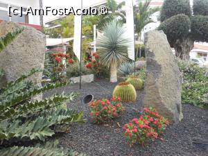 [P08] Puerto de la Cruz - Blue Sea Puerto Resort. Aranjamente peisagistice. » foto by iulianic
 - 
<span class="allrVoted glyphicon glyphicon-heart hidden" id="av1423621"></span>
<a class="m-l-10 hidden" id="sv1423621" onclick="voting_Foto_DelVot(,1423621,16618)" role="button">șterge vot <span class="glyphicon glyphicon-remove"></span></a>
<a id="v91423621" class=" c-red"  onclick="voting_Foto_SetVot(1423621)" role="button"><span class="glyphicon glyphicon-heart-empty"></span> <b>LIKE</b> = Votează poza</a> <img class="hidden"  id="f1423621W9" src="/imagini/loader.gif" border="0" /><span class="AjErrMes hidden" id="e1423621ErM"></span>