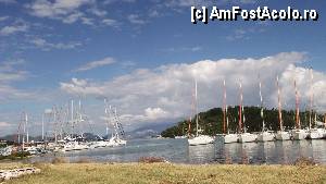 [P23] O adevarata flota se desfasura in portul Nidri » foto by johnnyredlabel †
 - 
<span class="allrVoted glyphicon glyphicon-heart hidden" id="av380801"></span>
<a class="m-l-10 hidden" id="sv380801" onclick="voting_Foto_DelVot(,380801,16678)" role="button">șterge vot <span class="glyphicon glyphicon-remove"></span></a>
<a id="v9380801" class=" c-red"  onclick="voting_Foto_SetVot(380801)" role="button"><span class="glyphicon glyphicon-heart-empty"></span> <b>LIKE</b> = Votează poza</a> <img class="hidden"  id="f380801W9" src="/imagini/loader.gif" border="0" /><span class="AjErrMes hidden" id="e380801ErM"></span>