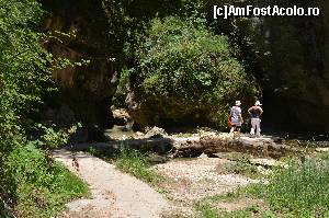 [P12] Spărtură în stâncă pe unde se scurge apa de la cascadă.  » foto by Ioan Raita
 - 
<span class="allrVoted glyphicon glyphicon-heart hidden" id="av577490"></span>
<a class="m-l-10 hidden" id="sv577490" onclick="voting_Foto_DelVot(,577490,16678)" role="button">șterge vot <span class="glyphicon glyphicon-remove"></span></a>
<a id="v9577490" class=" c-red"  onclick="voting_Foto_SetVot(577490)" role="button"><span class="glyphicon glyphicon-heart-empty"></span> <b>LIKE</b> = Votează poza</a> <img class="hidden"  id="f577490W9" src="/imagini/loader.gif" border="0" /><span class="AjErrMes hidden" id="e577490ErM"></span>