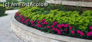 [P20] Cata grija, cata  munca, ce interes! » foto by raluca banu
 - 
<span class="allrVoted glyphicon glyphicon-heart hidden" id="av1377123"></span>
<a class="m-l-10 hidden" id="sv1377123" onclick="voting_Foto_DelVot(,1377123,16714)" role="button">șterge vot <span class="glyphicon glyphicon-remove"></span></a>
<a id="v91377123" class=" c-red"  onclick="voting_Foto_SetVot(1377123)" role="button"><span class="glyphicon glyphicon-heart-empty"></span> <b>LIKE</b> = Votează poza</a> <img class="hidden"  id="f1377123W9" src="/imagini/loader.gif" border="0" /><span class="AjErrMes hidden" id="e1377123ErM"></span>