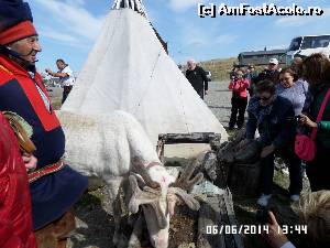 [P145] Renul și stapanul sau » foto by Alina53
 - 
<span class="allrVoted glyphicon glyphicon-heart hidden" id="av523776"></span>
<a class="m-l-10 hidden" id="sv523776" onclick="voting_Foto_DelVot(,523776,16750)" role="button">șterge vot <span class="glyphicon glyphicon-remove"></span></a>
<a id="v9523776" class=" c-red"  onclick="voting_Foto_SetVot(523776)" role="button"><span class="glyphicon glyphicon-heart-empty"></span> <b>LIKE</b> = Votează poza</a> <img class="hidden"  id="f523776W9" src="/imagini/loader.gif" border="0" /><span class="AjErrMes hidden" id="e523776ErM"></span>