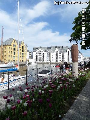 [P51] Alesund » foto by Alina53
 - 
<span class="allrVoted glyphicon glyphicon-heart hidden" id="av523572"></span>
<a class="m-l-10 hidden" id="sv523572" onclick="voting_Foto_DelVot(,523572,16750)" role="button">șterge vot <span class="glyphicon glyphicon-remove"></span></a>
<a id="v9523572" class=" c-red"  onclick="voting_Foto_SetVot(523572)" role="button"><span class="glyphicon glyphicon-heart-empty"></span> <b>LIKE</b> = Votează poza</a> <img class="hidden"  id="f523572W9" src="/imagini/loader.gif" border="0" /><span class="AjErrMes hidden" id="e523572ErM"></span>