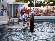 [P10] Un copil din public chemat sa atinga delfinul » foto by pepsi70ro
 - 
<span class="allrVoted glyphicon glyphicon-heart hidden" id="av100872"></span>
<a class="m-l-10 hidden" id="sv100872" onclick="voting_Foto_DelVot(,100872,16883)" role="button">șterge vot <span class="glyphicon glyphicon-remove"></span></a>
<a id="v9100872" class=" c-red"  onclick="voting_Foto_SetVot(100872)" role="button"><span class="glyphicon glyphicon-heart-empty"></span> <b>LIKE</b> = Votează poza</a> <img class="hidden"  id="f100872W9" src="/imagini/loader.gif" border="0" /><span class="AjErrMes hidden" id="e100872ErM"></span>