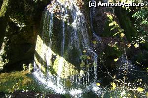 [P01]  -- <small>// FĂRĂ DESCRIERE</small> » foto by danim
 - 
<span class="allrVoted glyphicon glyphicon-heart hidden" id="av533631"></span>
<a class="m-l-10 hidden" id="sv533631" onclick="voting_Foto_DelVot(,533631,16943)" role="button">șterge vot <span class="glyphicon glyphicon-remove"></span></a>
<a id="v9533631" class=" c-red"  onclick="voting_Foto_SetVot(533631)" role="button"><span class="glyphicon glyphicon-heart-empty"></span> <b>LIKE</b> = Votează poza</a> <img class="hidden"  id="f533631W9" src="/imagini/loader.gif" border="0" /><span class="AjErrMes hidden" id="e533631ErM"></span>
