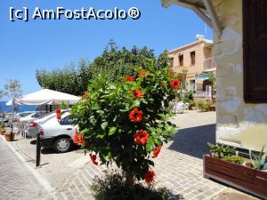 P24 [JUL-2020] Chania, orașul vechi.