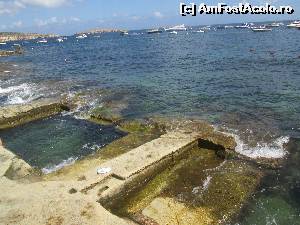 [P12] Piscinele naturale săpate în stâncă - St. Paul's Bay, Malta » foto by krondia*
 - 
<span class="allrVoted glyphicon glyphicon-heart hidden" id="av538432"></span>
<a class="m-l-10 hidden" id="sv538432" onclick="voting_Foto_DelVot(,538432,17004)" role="button">șterge vot <span class="glyphicon glyphicon-remove"></span></a>
<a id="v9538432" class=" c-red"  onclick="voting_Foto_SetVot(538432)" role="button"><span class="glyphicon glyphicon-heart-empty"></span> <b>LIKE</b> = Votează poza</a> <img class="hidden"  id="f538432W9" src="/imagini/loader.gif" border="0" /><span class="AjErrMes hidden" id="e538432ErM"></span>