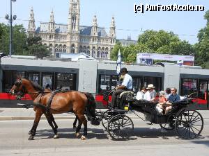 [P01] Viena - Turul de oras cu trasura, foarte agreat de turisti.  » foto by iulianic
 - 
<span class="allrVoted glyphicon glyphicon-heart hidden" id="av367057"></span>
<a class="m-l-10 hidden" id="sv367057" onclick="voting_Foto_DelVot(,367057,17056)" role="button">șterge vot <span class="glyphicon glyphicon-remove"></span></a>
<a id="v9367057" class=" c-red"  onclick="voting_Foto_SetVot(367057)" role="button"><span class="glyphicon glyphicon-heart-empty"></span> <b>LIKE</b> = Votează poza</a> <img class="hidden"  id="f367057W9" src="/imagini/loader.gif" border="0" /><span class="AjErrMes hidden" id="e367057ErM"></span>