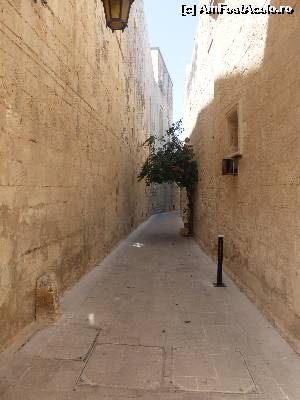 [P31] Mdina » foto by icata24
 - 
<span class="allrVoted glyphicon glyphicon-heart hidden" id="av539414"></span>
<a class="m-l-10 hidden" id="sv539414" onclick="voting_Foto_DelVot(,539414,17058)" role="button">șterge vot <span class="glyphicon glyphicon-remove"></span></a>
<a id="v9539414" class=" c-red"  onclick="voting_Foto_SetVot(539414)" role="button"><span class="glyphicon glyphicon-heart-empty"></span> <b>LIKE</b> = Votează poza</a> <img class="hidden"  id="f539414W9" src="/imagini/loader.gif" border="0" /><span class="AjErrMes hidden" id="e539414ErM"></span>