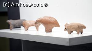 [P10]  -- <small>// FĂRĂ DESCRIERE</small> » foto by pepsi70ro
 - 
<span class="allrVoted glyphicon glyphicon-heart hidden" id="av1515820"></span>
<a class="m-l-10 hidden" id="sv1515820" onclick="voting_Foto_DelVot(,1515820,17175)" role="button">șterge vot <span class="glyphicon glyphicon-remove"></span></a>
<a id="v91515820" class=" c-red"  onclick="voting_Foto_SetVot(1515820)" role="button"><span class="glyphicon glyphicon-heart-empty"></span> <b>LIKE</b> = Votează poza</a> <img class="hidden"  id="f1515820W9" src="/imagini/loader.gif" border="0" /><span class="AjErrMes hidden" id="e1515820ErM"></span>