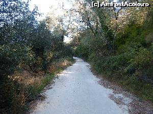 [P09] Drumul de la vila Stella spre Mylos bar (Watermill) si cascada, dar si spre satul Anthousa si Castelul lui Ali-Pasa, unde noi am urcat pe jos, cam 2 ore » foto by adriananicoleta
 - 
<span class="allrVoted glyphicon glyphicon-heart hidden" id="av544596"></span>
<a class="m-l-10 hidden" id="sv544596" onclick="voting_Foto_DelVot(,544596,17182)" role="button">șterge vot <span class="glyphicon glyphicon-remove"></span></a>
<a id="v9544596" class=" c-red"  onclick="voting_Foto_SetVot(544596)" role="button"><span class="glyphicon glyphicon-heart-empty"></span> <b>LIKE</b> = Votează poza</a> <img class="hidden"  id="f544596W9" src="/imagini/loader.gif" border="0" /><span class="AjErrMes hidden" id="e544596ErM"></span>