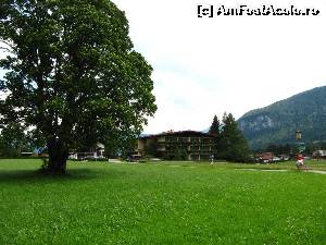 [P04] Appartements Achensee şi un arbore fotogenic :)  » foto by saxonul
 - 
<span class="allrVoted glyphicon glyphicon-heart hidden" id="av546900"></span>
<a class="m-l-10 hidden" id="sv546900" onclick="voting_Foto_DelVot(,546900,17267)" role="button">șterge vot <span class="glyphicon glyphicon-remove"></span></a>
<a id="v9546900" class=" c-red"  onclick="voting_Foto_SetVot(546900)" role="button"><span class="glyphicon glyphicon-heart-empty"></span> <b>LIKE</b> = Votează poza</a> <img class="hidden"  id="f546900W9" src="/imagini/loader.gif" border="0" /><span class="AjErrMes hidden" id="e546900ErM"></span>