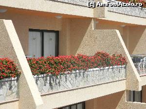 [P02] Balconul apartamentului, cu florile de rigoare.  » foto by garcia
 - 
<span class="allrVoted glyphicon glyphicon-heart hidden" id="av547017"></span>
<a class="m-l-10 hidden" id="sv547017" onclick="voting_Foto_DelVot(,547017,17272)" role="button">șterge vot <span class="glyphicon glyphicon-remove"></span></a>
<a id="v9547017" class=" c-red"  onclick="voting_Foto_SetVot(547017)" role="button"><span class="glyphicon glyphicon-heart-empty"></span> <b>LIKE</b> = Votează poza</a> <img class="hidden"  id="f547017W9" src="/imagini/loader.gif" border="0" /><span class="AjErrMes hidden" id="e547017ErM"></span>