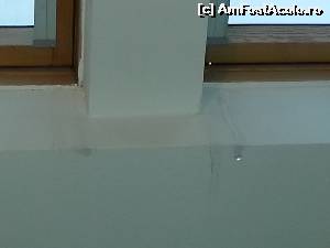 [P21] 2 picaturi stralucitoare asteptau sa... pic... pic » foto by Dan&Ema
 - 
<span class="allrVoted glyphicon glyphicon-heart hidden" id="av557092"></span>
<a class="m-l-10 hidden" id="sv557092" onclick="voting_Foto_DelVot(,557092,17475)" role="button">șterge vot <span class="glyphicon glyphicon-remove"></span></a>
<a id="v9557092" class=" c-red"  onclick="voting_Foto_SetVot(557092)" role="button"><span class="glyphicon glyphicon-heart-empty"></span> <b>LIKE</b> = Votează poza</a> <img class="hidden"  id="f557092W9" src="/imagini/loader.gif" border="0" /><span class="AjErrMes hidden" id="e557092ErM"></span>