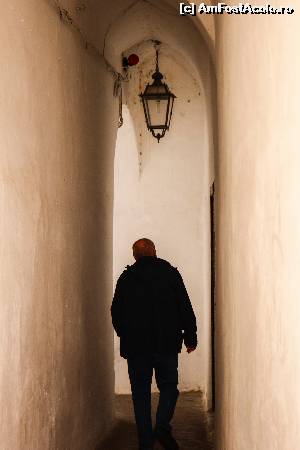 [P13] Si inca un tunel pentru a merge mai departe » foto by DOINITA
 - 
<span class="allrVoted glyphicon glyphicon-heart hidden" id="av609584"></span>
<a class="m-l-10 hidden" id="sv609584" onclick="voting_Foto_DelVot(,609584,17505)" role="button">șterge vot <span class="glyphicon glyphicon-remove"></span></a>
<a id="v9609584" class=" c-red"  onclick="voting_Foto_SetVot(609584)" role="button"><span class="glyphicon glyphicon-heart-empty"></span> <b>LIKE</b> = Votează poza</a> <img class="hidden"  id="f609584W9" src="/imagini/loader.gif" border="0" /><span class="AjErrMes hidden" id="e609584ErM"></span>