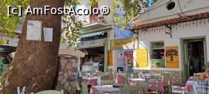 [P40] Taverna Platanos, locul în care ne-am oprit la masă » foto by irinad
 - 
<span class="allrVoted glyphicon glyphicon-heart hidden" id="av1360873"></span>
<a class="m-l-10 hidden" id="sv1360873" onclick="voting_Foto_DelVot(,1360873,17509)" role="button">șterge vot <span class="glyphicon glyphicon-remove"></span></a>
<a id="v91360873" class=" c-red"  onclick="voting_Foto_SetVot(1360873)" role="button"><span class="glyphicon glyphicon-heart-empty"></span> <b>LIKE</b> = Votează poza</a> <img class="hidden"  id="f1360873W9" src="/imagini/loader.gif" border="0" /><span class="AjErrMes hidden" id="e1360873ErM"></span>