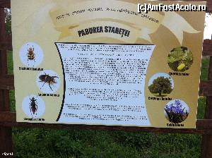 [P02] Despre pădurea seculară a Stăreției » foto by Yersinia Pestis
 - 
<span class="allrVoted glyphicon glyphicon-heart hidden" id="av651786"></span>
<a class="m-l-10 hidden" id="sv651786" onclick="voting_Foto_DelVot(,651786,17524)" role="button">șterge vot <span class="glyphicon glyphicon-remove"></span></a>
<a id="v9651786" class=" c-red"  onclick="voting_Foto_SetVot(651786)" role="button"><span class="glyphicon glyphicon-heart-empty"></span> <b>LIKE</b> = Votează poza</a> <img class="hidden"  id="f651786W9" src="/imagini/loader.gif" border="0" /><span class="AjErrMes hidden" id="e651786ErM"></span>