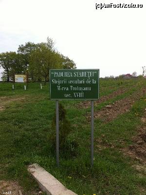 [P03] Aicea-i cu stejarii seculari. Dacă-s ăia din spate, arată destul de tineri, nu, nu le-ai da vârsta!  » foto by Yersinia Pestis
 - 
<span class="allrVoted glyphicon glyphicon-heart hidden" id="av651787"></span>
<a class="m-l-10 hidden" id="sv651787" onclick="voting_Foto_DelVot(,651787,17524)" role="button">șterge vot <span class="glyphicon glyphicon-remove"></span></a>
<a id="v9651787" class=" c-red"  onclick="voting_Foto_SetVot(651787)" role="button"><span class="glyphicon glyphicon-heart-empty"></span> <b>LIKE</b> = Votează poza</a> <img class="hidden"  id="f651787W9" src="/imagini/loader.gif" border="0" /><span class="AjErrMes hidden" id="e651787ErM"></span>