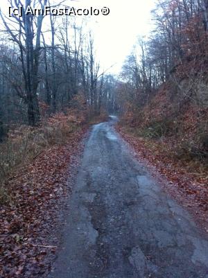 [P44] Drumul Coașei » foto by Yersinia Pestis <span class="label label-default labelC_thin small">NEVOTABILĂ</span>