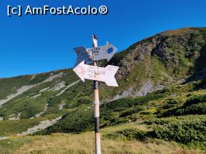 [P51] Popasul Șaua Gagii(1789m), Munții Rodnei » foto by Dana2008
 - 
<span class="allrVoted glyphicon glyphicon-heart hidden" id="av1192871"></span>
<a class="m-l-10 hidden" id="sv1192871" onclick="voting_Foto_DelVot(,1192871,17545)" role="button">șterge vot <span class="glyphicon glyphicon-remove"></span></a>
<a id="v91192871" class=" c-red"  onclick="voting_Foto_SetVot(1192871)" role="button"><span class="glyphicon glyphicon-heart-empty"></span> <b>LIKE</b> = Votează poza</a> <img class="hidden"  id="f1192871W9" src="/imagini/loader.gif" border="0" /><span class="AjErrMes hidden" id="e1192871ErM"></span>