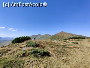 [P10] Vârful Cobășel (1835m) și Vârful Roșu (2113m), Vf. Ineuț, Vf. Ineu, din Munții Rodnei » foto by Dana2008
 - 
<span class="allrVoted glyphicon glyphicon-heart hidden" id="av1195699"></span>
<a class="m-l-10 hidden" id="sv1195699" onclick="voting_Foto_DelVot(,1195699,17545)" role="button">șterge vot <span class="glyphicon glyphicon-remove"></span></a>
<a id="v91195699" class=" c-red"  onclick="voting_Foto_SetVot(1195699)" role="button"><span class="glyphicon glyphicon-heart-empty"></span> <b>LIKE</b> = Votează poza</a> <img class="hidden"  id="f1195699W9" src="/imagini/loader.gif" border="0" /><span class="AjErrMes hidden" id="e1195699ErM"></span>