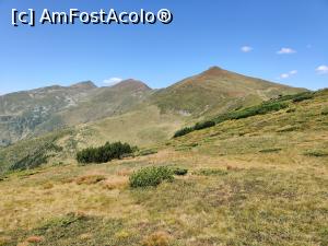 [P02] Vârful Cobășel (1835m) și Vârful Roșu (2113m),Vf. Ineuț, Vf. Ineu din Munții Rodnei » foto by Dana2008
 - 
<span class="allrVoted glyphicon glyphicon-heart hidden" id="av1195691"></span>
<a class="m-l-10 hidden" id="sv1195691" onclick="voting_Foto_DelVot(,1195691,17545)" role="button">șterge vot <span class="glyphicon glyphicon-remove"></span></a>
<a id="v91195691" class=" c-red"  onclick="voting_Foto_SetVot(1195691)" role="button"><span class="glyphicon glyphicon-heart-empty"></span> <b>LIKE</b> = Votează poza</a> <img class="hidden"  id="f1195691W9" src="/imagini/loader.gif" border="0" /><span class="AjErrMes hidden" id="e1195691ErM"></span>