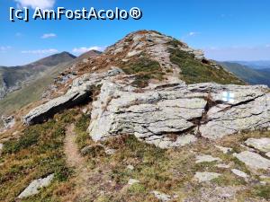 [P22] Vârful Cobășel (1835m) și Vârful Roșu(2113m) din Munții Rodnei » foto by Dana2008
 - 
<span class="allrVoted glyphicon glyphicon-heart hidden" id="av1195728"></span>
<a class="m-l-10 hidden" id="sv1195728" onclick="voting_Foto_DelVot(,1195728,17545)" role="button">șterge vot <span class="glyphicon glyphicon-remove"></span></a>
<a id="v91195728" class=" c-red"  onclick="voting_Foto_SetVot(1195728)" role="button"><span class="glyphicon glyphicon-heart-empty"></span> <b>LIKE</b> = Votează poza</a> <img class="hidden"  id="f1195728W9" src="/imagini/loader.gif" border="0" /><span class="AjErrMes hidden" id="e1195728ErM"></span>