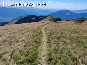 [P23] traseul spre Vârful Cobășel (1835m) și Vârful Roșu(2113m) din Munții Rodnei » foto by Dana2008
 - 
<span class="allrVoted glyphicon glyphicon-heart hidden" id="av1195737"></span>
<a class="m-l-10 hidden" id="sv1195737" onclick="voting_Foto_DelVot(,1195737,17545)" role="button">șterge vot <span class="glyphicon glyphicon-remove"></span></a>
<a id="v91195737" class=" c-red"  onclick="voting_Foto_SetVot(1195737)" role="button"><span class="glyphicon glyphicon-heart-empty"></span> <b>LIKE</b> = Votează poza</a> <img class="hidden"  id="f1195737W9" src="/imagini/loader.gif" border="0" /><span class="AjErrMes hidden" id="e1195737ErM"></span>