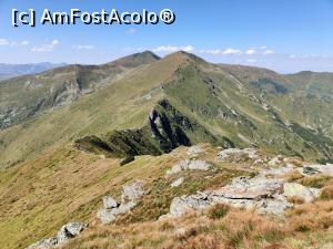 [P04] Vârful Cobășel (1835m) și Vârful Roșu(2113m) din Munții Rodnei » foto by Dana2008
 - 
<span class="allrVoted glyphicon glyphicon-heart hidden" id="av1195693"></span>
<a class="m-l-10 hidden" id="sv1195693" onclick="voting_Foto_DelVot(,1195693,17545)" role="button">șterge vot <span class="glyphicon glyphicon-remove"></span></a>
<a id="v91195693" class=" c-red"  onclick="voting_Foto_SetVot(1195693)" role="button"><span class="glyphicon glyphicon-heart-empty"></span> <b>LIKE</b> = Votează poza</a> <img class="hidden"  id="f1195693W9" src="/imagini/loader.gif" border="0" /><span class="AjErrMes hidden" id="e1195693ErM"></span>