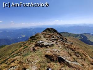 [P06] Vârful Cobășel (1835m) și Vârful Roșu(2113m) din Munții Rodnei » foto by Dana2008
 - 
<span class="allrVoted glyphicon glyphicon-heart hidden" id="av1195695"></span>
<a class="m-l-10 hidden" id="sv1195695" onclick="voting_Foto_DelVot(,1195695,17545)" role="button">șterge vot <span class="glyphicon glyphicon-remove"></span></a>
<a id="v91195695" class=" c-red"  onclick="voting_Foto_SetVot(1195695)" role="button"><span class="glyphicon glyphicon-heart-empty"></span> <b>LIKE</b> = Votează poza</a> <img class="hidden"  id="f1195695W9" src="/imagini/loader.gif" border="0" /><span class="AjErrMes hidden" id="e1195695ErM"></span>