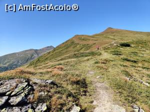 [P08] Vârful Cobășel (1835m) și Vârful Roșu(2113m) din Munții Rodnei » foto by Dana2008
 - 
<span class="allrVoted glyphicon glyphicon-heart hidden" id="av1195697"></span>
<a class="m-l-10 hidden" id="sv1195697" onclick="voting_Foto_DelVot(,1195697,17545)" role="button">șterge vot <span class="glyphicon glyphicon-remove"></span></a>
<a id="v91195697" class=" c-red"  onclick="voting_Foto_SetVot(1195697)" role="button"><span class="glyphicon glyphicon-heart-empty"></span> <b>LIKE</b> = Votează poza</a> <img class="hidden"  id="f1195697W9" src="/imagini/loader.gif" border="0" /><span class="AjErrMes hidden" id="e1195697ErM"></span>