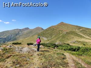 [P09] Vârful Cobășel (1835m) și Vârful Roșu (2113m) , Vf. Ineuț, Vf. Ineu din Munții Rodnei » foto by Dana2008
 - 
<span class="allrVoted glyphicon glyphicon-heart hidden" id="av1195698"></span>
<a class="m-l-10 hidden" id="sv1195698" onclick="voting_Foto_DelVot(,1195698,17545)" role="button">șterge vot <span class="glyphicon glyphicon-remove"></span></a>
<a id="v91195698" class=" c-red"  onclick="voting_Foto_SetVot(1195698)" role="button"><span class="glyphicon glyphicon-heart-empty"></span> <b>LIKE</b> = Votează poza</a> <img class="hidden"  id="f1195698W9" src="/imagini/loader.gif" border="0" /><span class="AjErrMes hidden" id="e1195698ErM"></span>