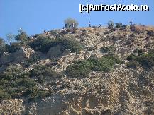 [P08] Sus e un loc fain de belvedere si turistii opriti in parcare ,langa autocare,ne priveau invidiosi:)) » foto by georgiana
 - 
<span class="allrVoted glyphicon glyphicon-heart hidden" id="av162446"></span>
<a class="m-l-10 hidden" id="sv162446" onclick="voting_Foto_DelVot(,162446,17583)" role="button">șterge vot <span class="glyphicon glyphicon-remove"></span></a>
<a id="v9162446" class=" c-red"  onclick="voting_Foto_SetVot(162446)" role="button"><span class="glyphicon glyphicon-heart-empty"></span> <b>LIKE</b> = Votează poza</a> <img class="hidden"  id="f162446W9" src="/imagini/loader.gif" border="0" /><span class="AjErrMes hidden" id="e162446ErM"></span>