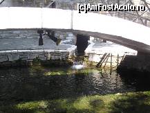 [P23] apa clara de izvor,rece si limpede buna de baut » foto by sandu.53
 - 
<span class="allrVoted glyphicon glyphicon-heart hidden" id="av210100"></span>
<a class="m-l-10 hidden" id="sv210100" onclick="voting_Foto_DelVot(,210100,17592)" role="button">șterge vot <span class="glyphicon glyphicon-remove"></span></a>
<a id="v9210100" class=" c-red"  onclick="voting_Foto_SetVot(210100)" role="button"><span class="glyphicon glyphicon-heart-empty"></span> <b>LIKE</b> = Votează poza</a> <img class="hidden"  id="f210100W9" src="/imagini/loader.gif" border="0" /><span class="AjErrMes hidden" id="e210100ErM"></span>