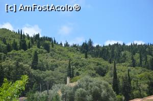 [P14] Vegetaţie în Fiscardo, un frumos sat din insula Kefalonia, a doua oprire a navei de croazieră Makedonia Palace.  » foto by traian.leuca †
 - 
<span class="allrVoted glyphicon glyphicon-heart hidden" id="av1056796"></span>
<a class="m-l-10 hidden" id="sv1056796" onclick="voting_Foto_DelVot(,1056796,17593)" role="button">șterge vot <span class="glyphicon glyphicon-remove"></span></a>
<a id="v91056796" class=" c-red"  onclick="voting_Foto_SetVot(1056796)" role="button"><span class="glyphicon glyphicon-heart-empty"></span> <b>LIKE</b> = Votează poza</a> <img class="hidden"  id="f1056796W9" src="/imagini/loader.gif" border="0" /><span class="AjErrMes hidden" id="e1056796ErM"></span>