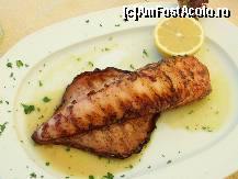 [P09] Un calamar la gratar delicios. » foto by ciocani elena*
 - 
<span class="allrVoted glyphicon glyphicon-heart hidden" id="av91773"></span>
<a class="m-l-10 hidden" id="sv91773" onclick="voting_Foto_DelVot(,91773,17593)" role="button">șterge vot <span class="glyphicon glyphicon-remove"></span></a>
<a id="v991773" class=" c-red"  onclick="voting_Foto_SetVot(91773)" role="button"><span class="glyphicon glyphicon-heart-empty"></span> <b>LIKE</b> = Votează poza</a> <img class="hidden"  id="f91773W9" src="/imagini/loader.gif" border="0" /><span class="AjErrMes hidden" id="e91773ErM"></span>
